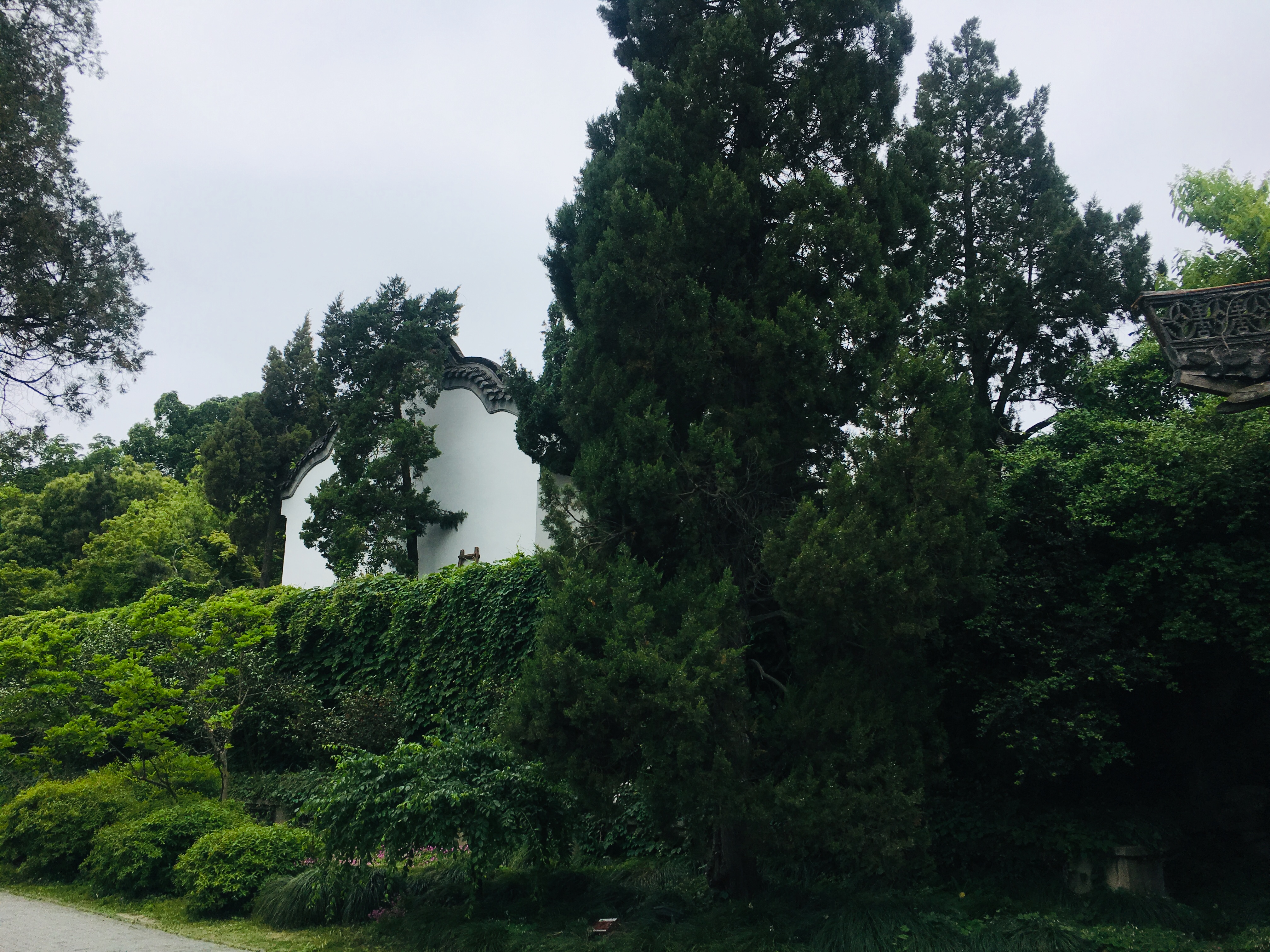 三月的扬州美景如画,烟花三月下扬州看遍扬州美景