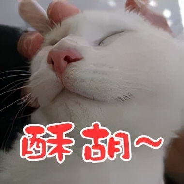 肾虚体寒喝什么,肾虚体寒需要治疗吗