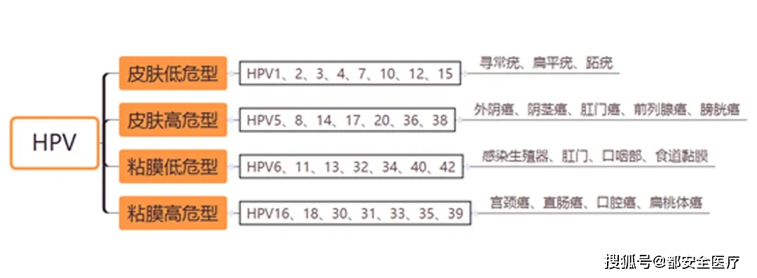 有没有治hpv阳性转阴的特效药,用药三个月hpv还是阳性怎么办