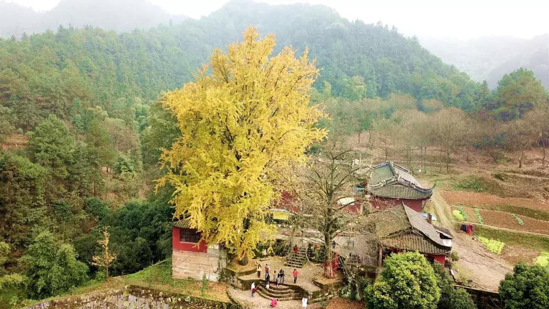 这一生必须去一次的地方,这一生要去一次丽江