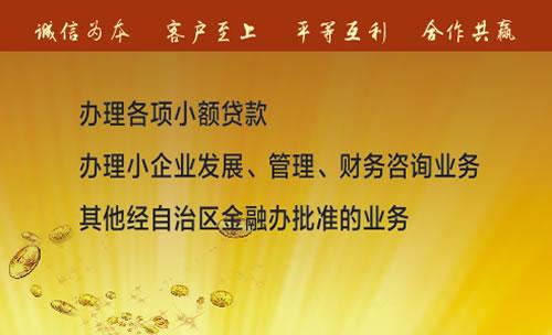 小额贷是指金额多少,小额贷款信得过吗