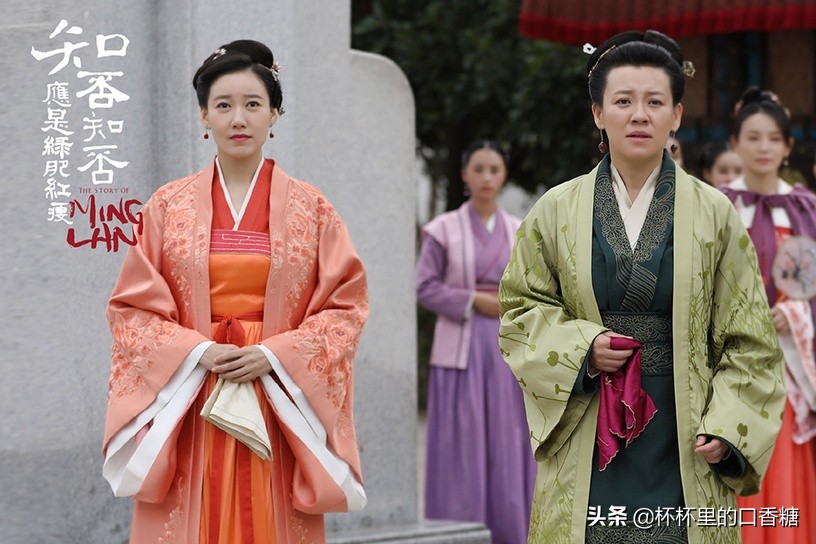 当家主母电视剧9集,宅斗古装剧推荐