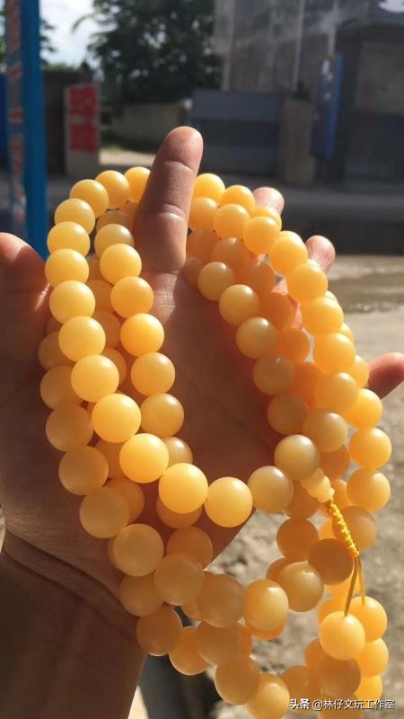 真假黄金砗磲对比照片,黄金砗磲真假鉴别方法