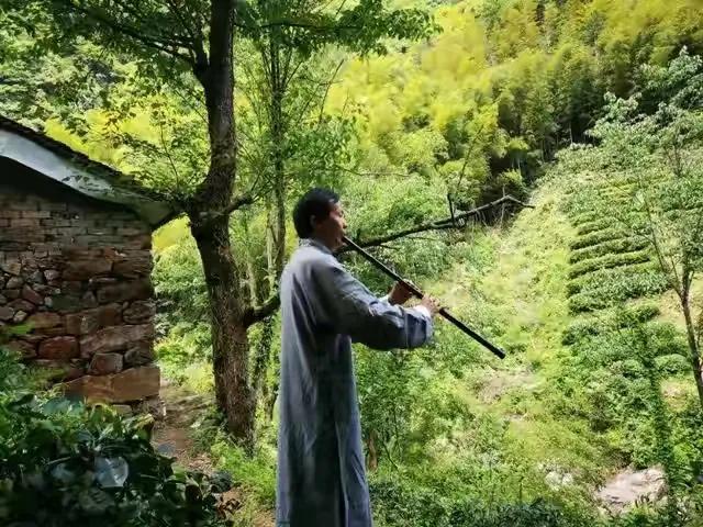 卧庐诗话@有趣的性灵总要相遇