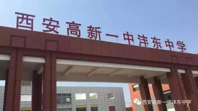 高新区民办学校有哪些,高新民办学校有哪些