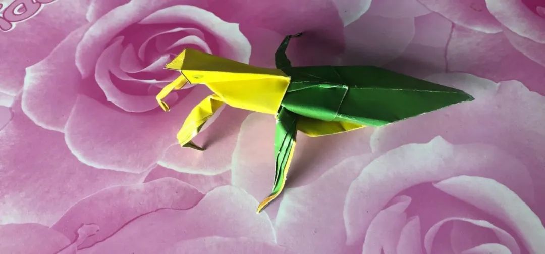 破马张飞骑驴,破马张飞怎么样