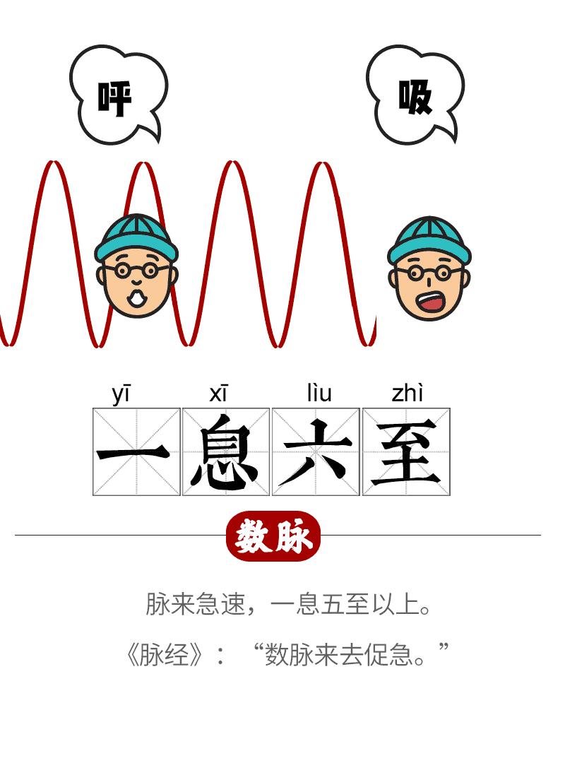 中医把脉的原理是什么动画,中医如何把脉看病图解