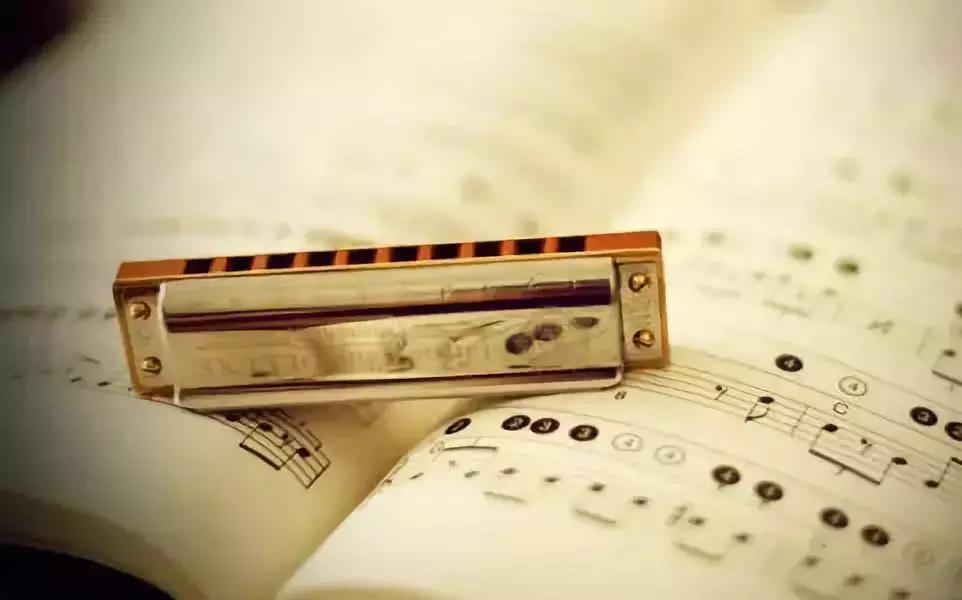 新手学口琴入门教学视频,新手学哪种口琴