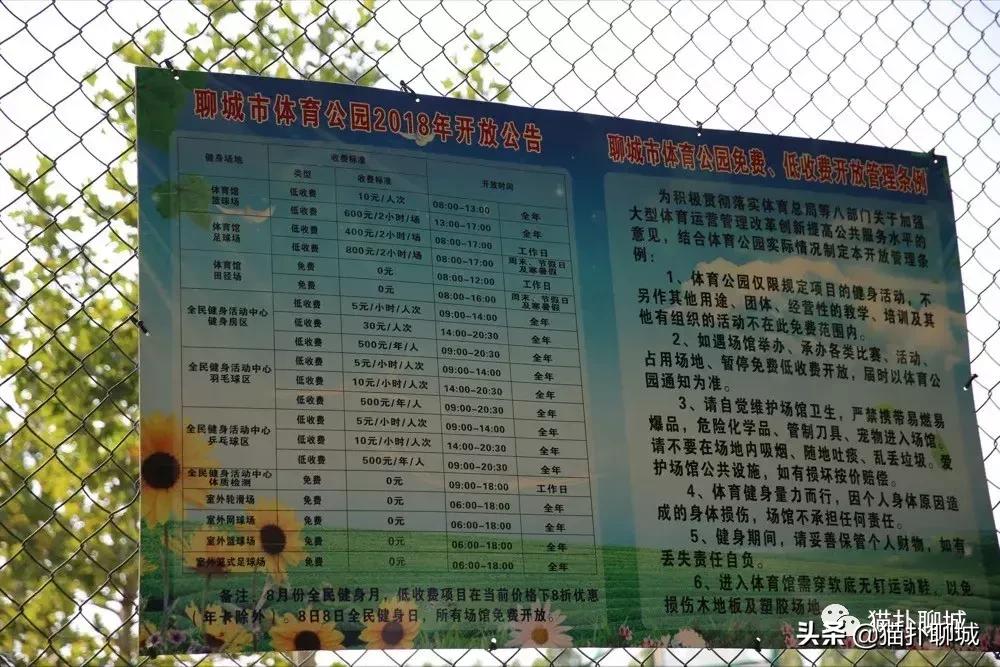 山东聊城室外篮球场,聊城篮球野球场