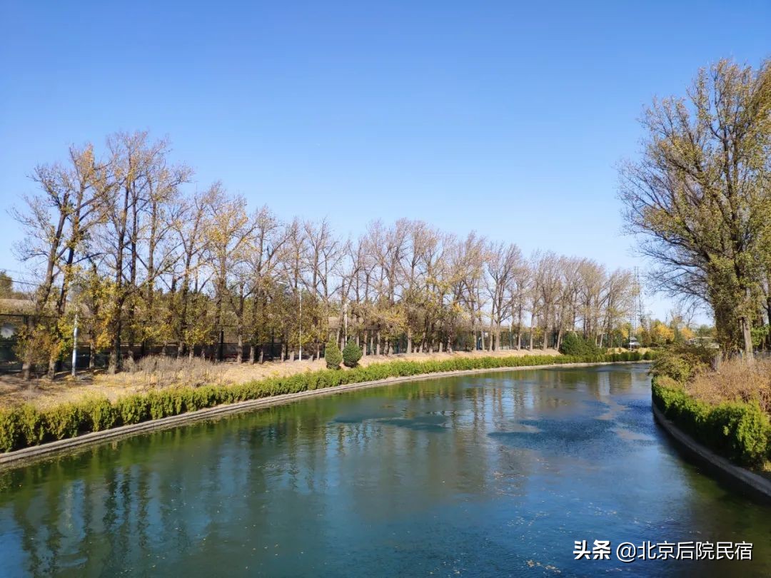 后院·厂仓|大智の宅,住进80后怀旧故居