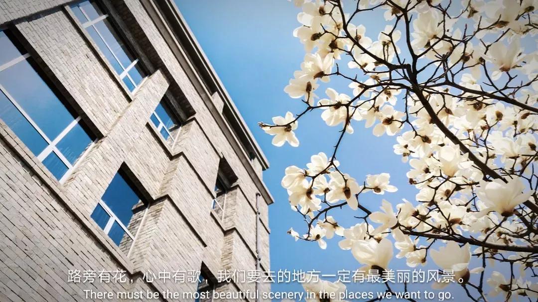 辽宁大连民办大学,大连辽宁二本大学