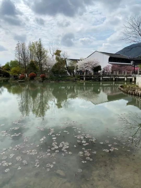 美爆了的画质,美爆了完整视频