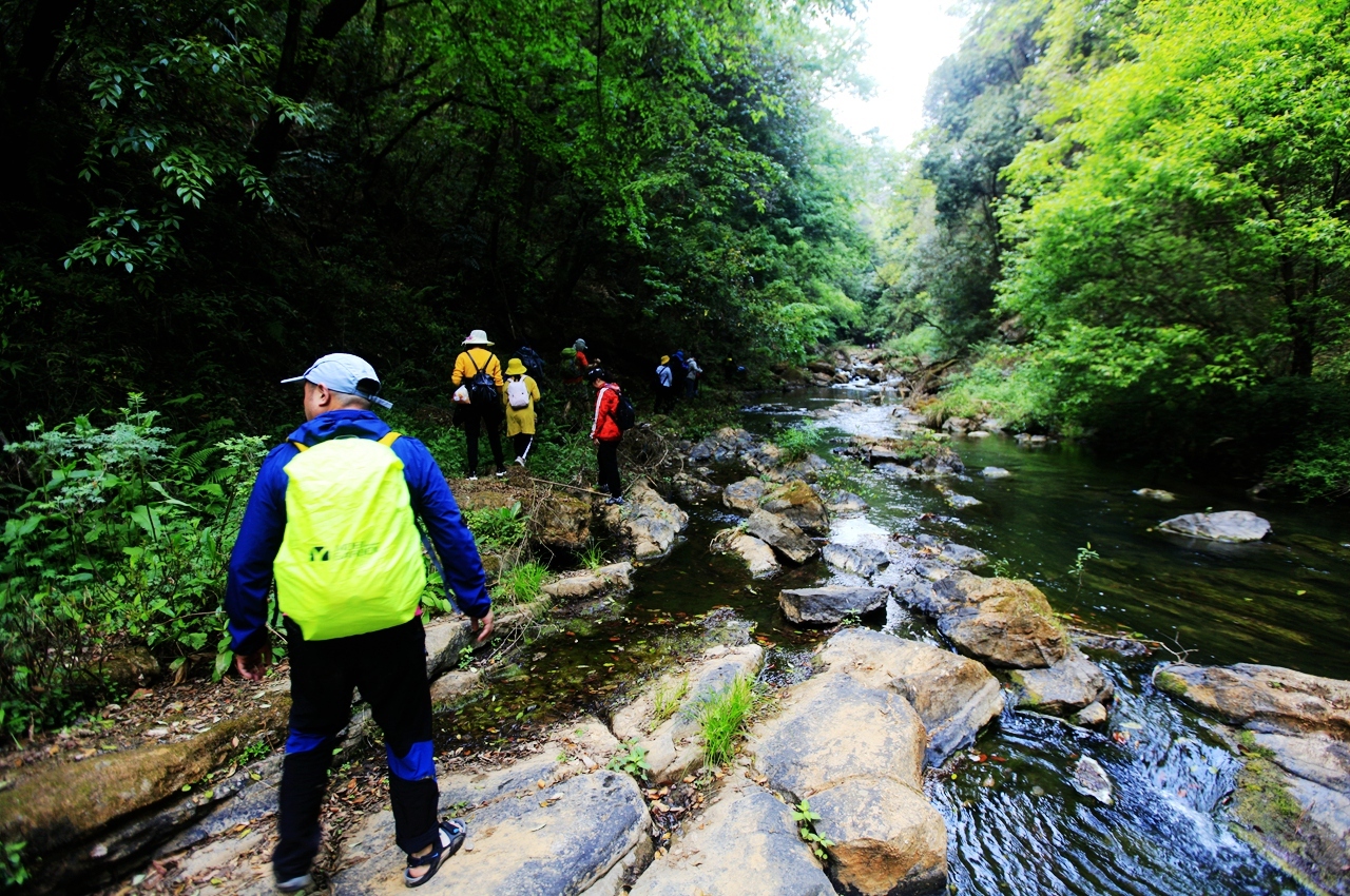 金秋野花沟在哪里,金秋野花沟照片