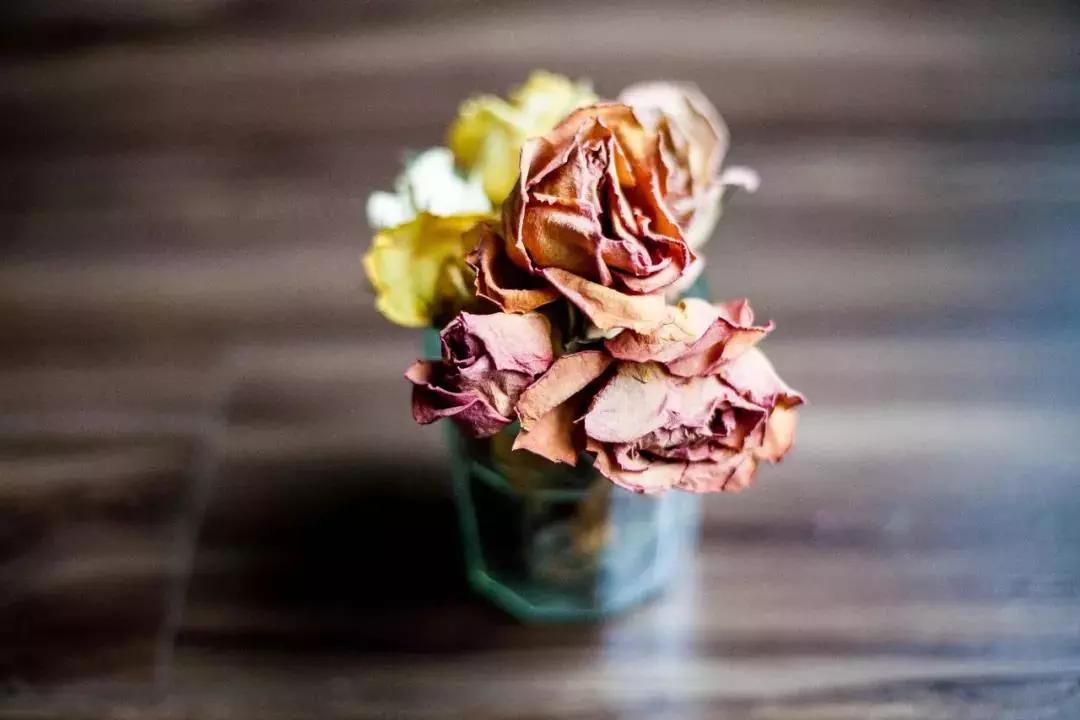 她用这种高颜值的干花装饰家里,隔壁邻居都惊叹不已