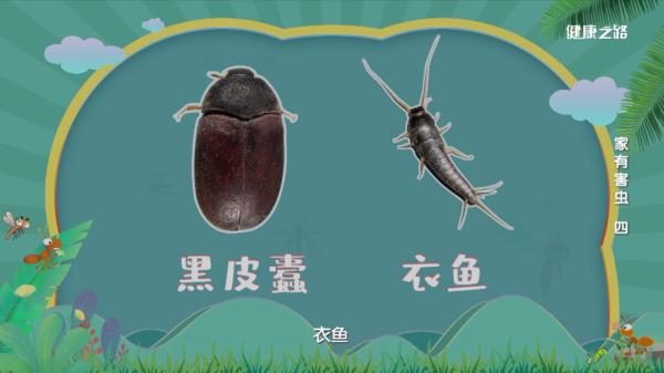 家中粮食有虫子怎么办,粮食里有虫怎么去除