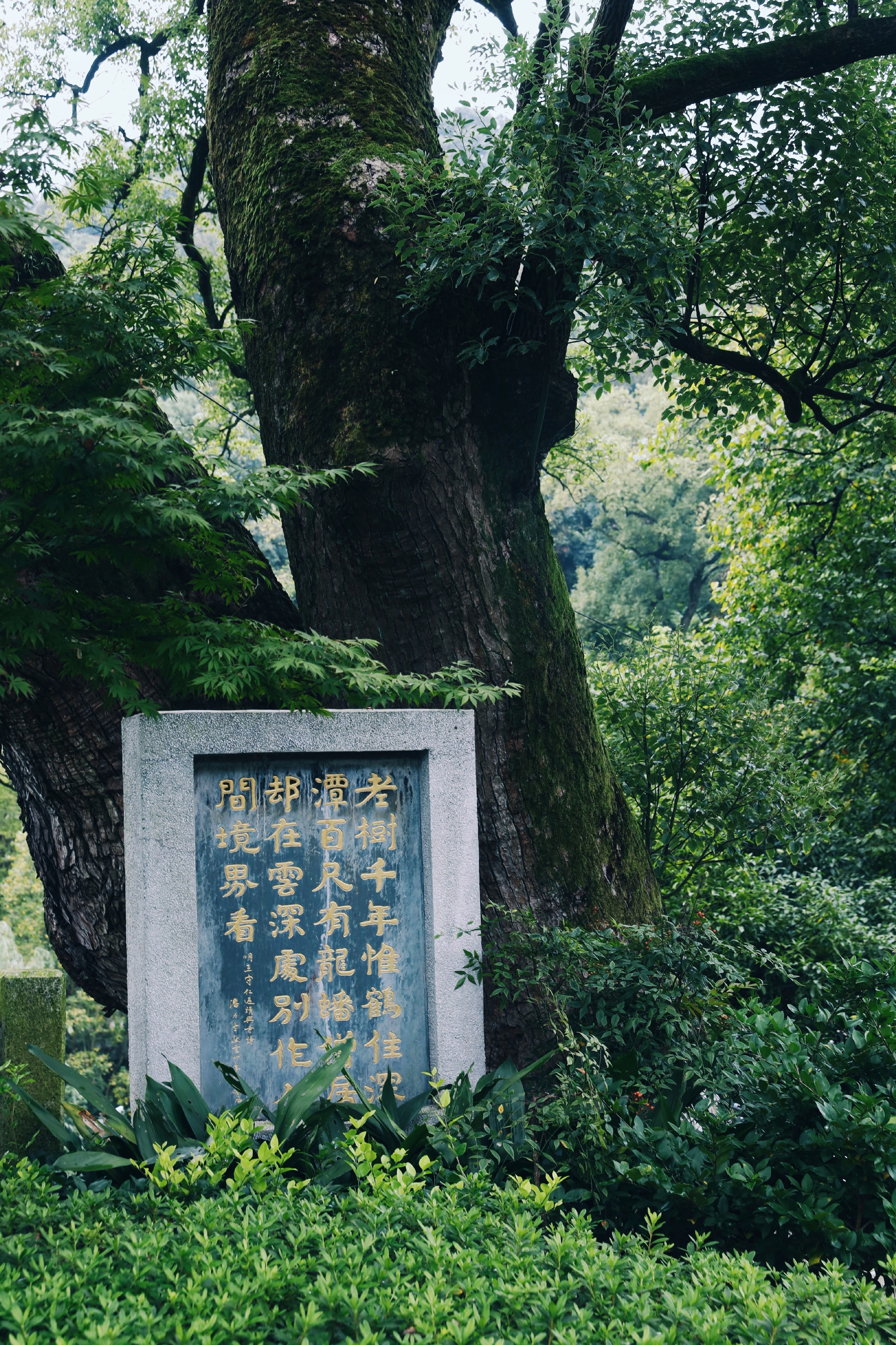 官方承认的湖南第三大城市,湖南第二大市是哪个市