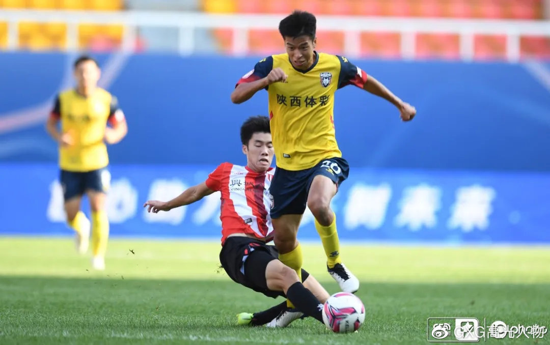 西北狼vs北美灰狼,西北狼vs西伯利亚狼