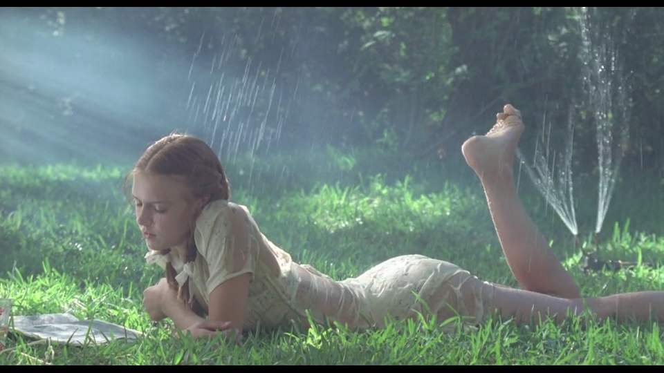 洛丽塔养成大叔鲍X明被驱逐出境，韩某某改小年龄与狼共舞受了伤