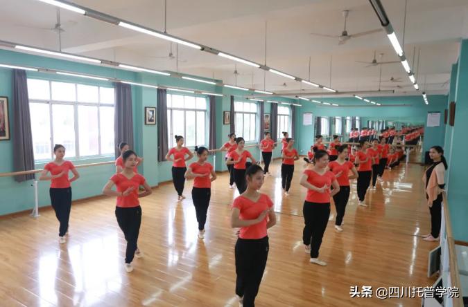 四川省托普信息职业技术学院单招,四川省托普学院单招考试大纲