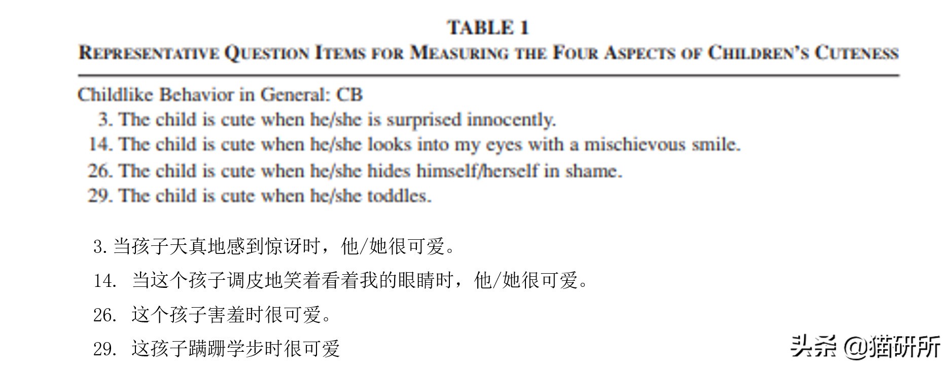 吸猫不得不知道的常识,沉迷吸猫的原因