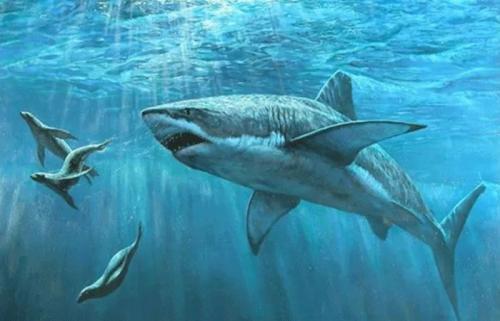 “日本护肤品”被一抢而空，“国货”却无人问津！内行人：差距真大