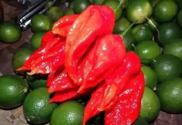 全世界辣椒排行榜前十,世界上十大辣椒排行榜