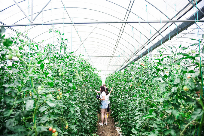 乌村暑期夏令营，吃喝玩乐在这里