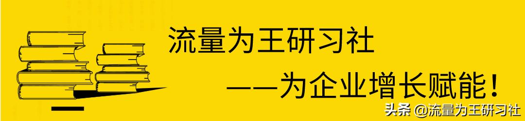 史玉柱亲笔写的脑白金策划方案