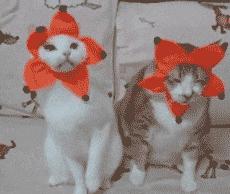 终于下班了搞笑gif图片,搞笑gif上班的时候打瞌睡尴尬了吧