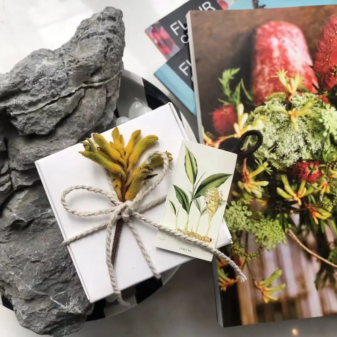 鬼市来敲门阵容更新-看看这次有没有你的心头好