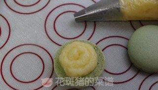 卡仕达马卡龙多少钱,极致马卡龙