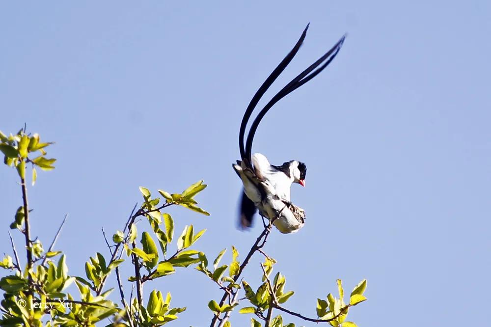 情人节，就该和爱的人*爱做**做的事