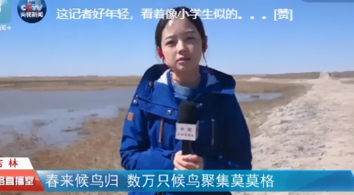 看央视电视剧,最萌主持人