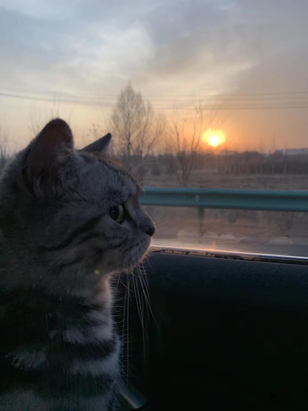 315曝光股票走势,315股市揭秘