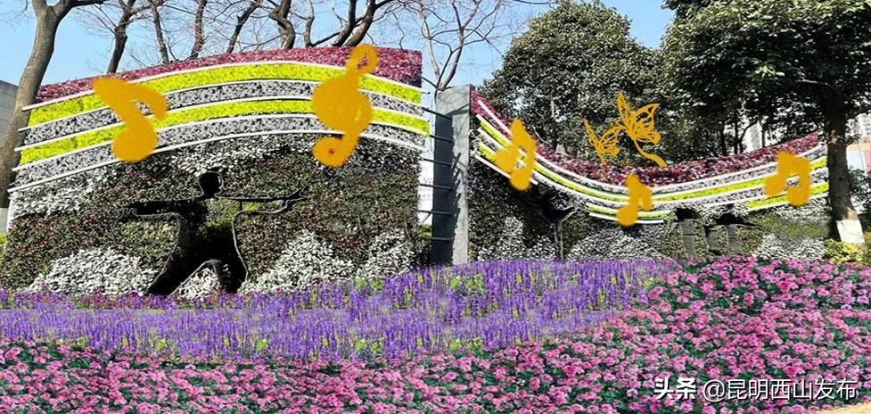 昆明立体花坛最好看的几个,美丽春城立体花坛
