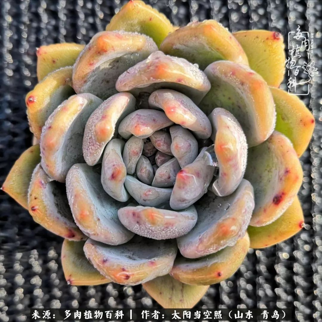 离家在外才发现最难忘的是故乡情,离家在外看见家乡的东西