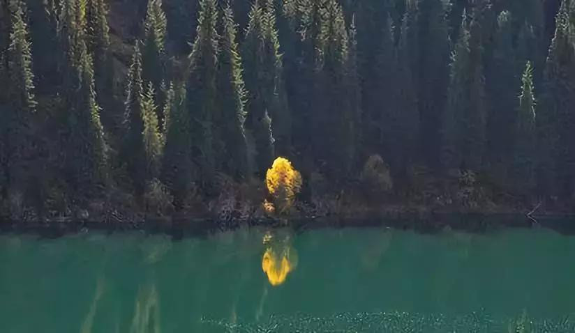 java面向对象的继承和实现,大一java面向对象期末考试