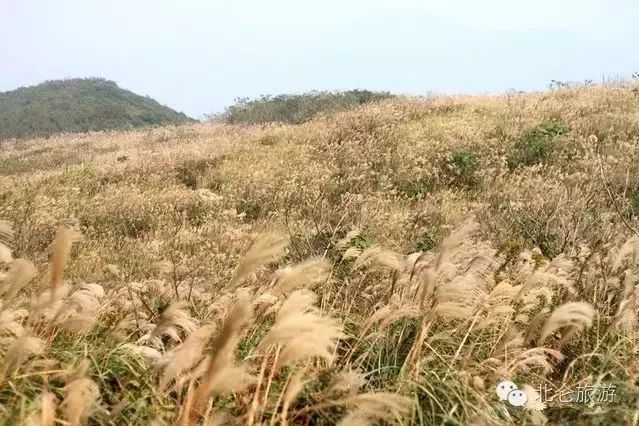 爬完所有雪山就释怀,爬完所有的名山
