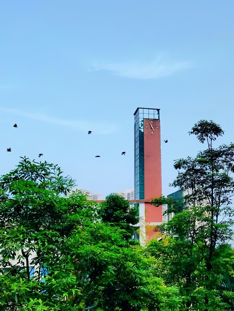 重庆渝北最抢手的小学初中,渝北区第二梯队初中