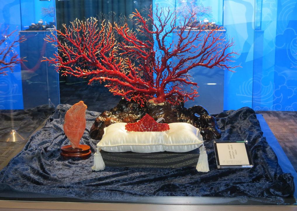 红珊瑚最怕什么,红珊瑚警惕