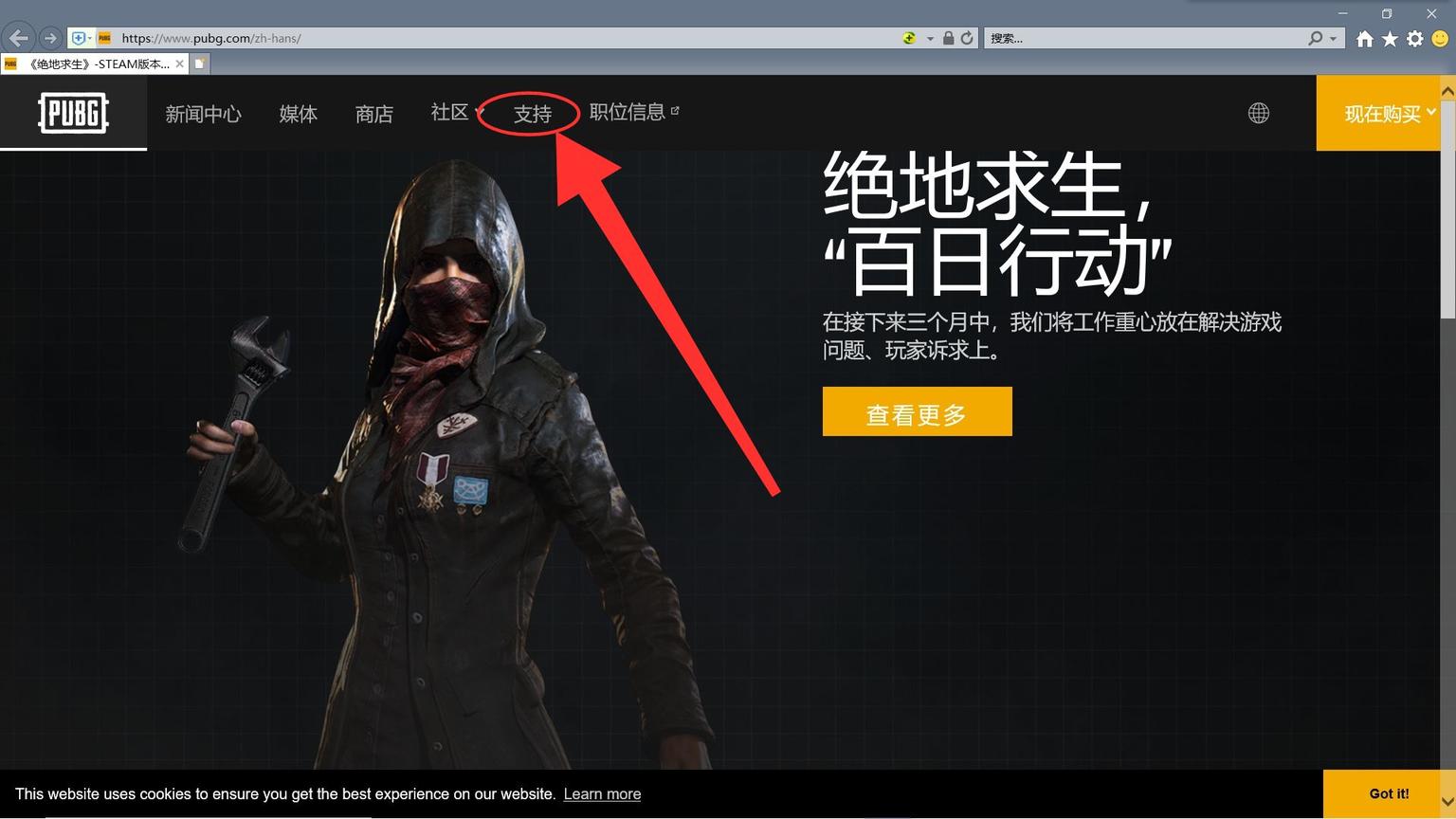 pubg被盗号后永久封禁在哪申诉,pubg开发者永久封禁能申诉回来吗