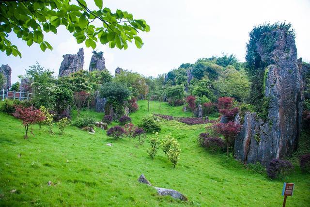 小平故里广安风景,小平故里到华蓥山有多远