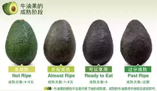 牛油果的骗局是什么,牛油果健康骗局