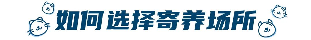 假期要把宠物送去寄养,以下5件事一定要做