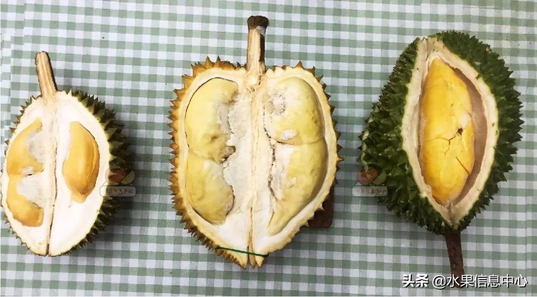 托曼尼猫山王榴莲价格,泰国托曼尼榴莲和猫山王区别