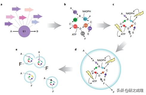 催化周报:10篇子刊,14篇Angew,你想要的前沿都在这里