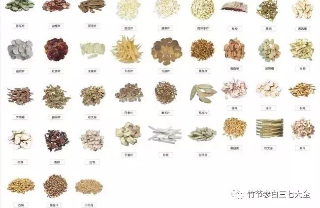 现在种植什么药材最赚钱 (现在市场上种植什么药材最赚钱)