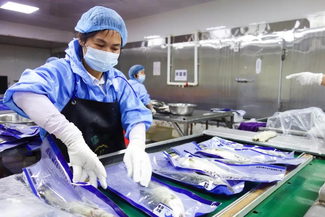 今年双十一，斗门这款产品爆卖100000+！你猜是……