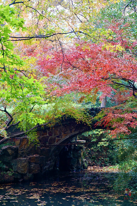 康熙乾隆12次下江南，却去了惠山古镇14次，一个小镇到底藏了啥？