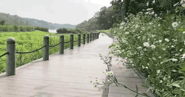 人间仙境美如画旅游地推荐,人间仙境好看的地方